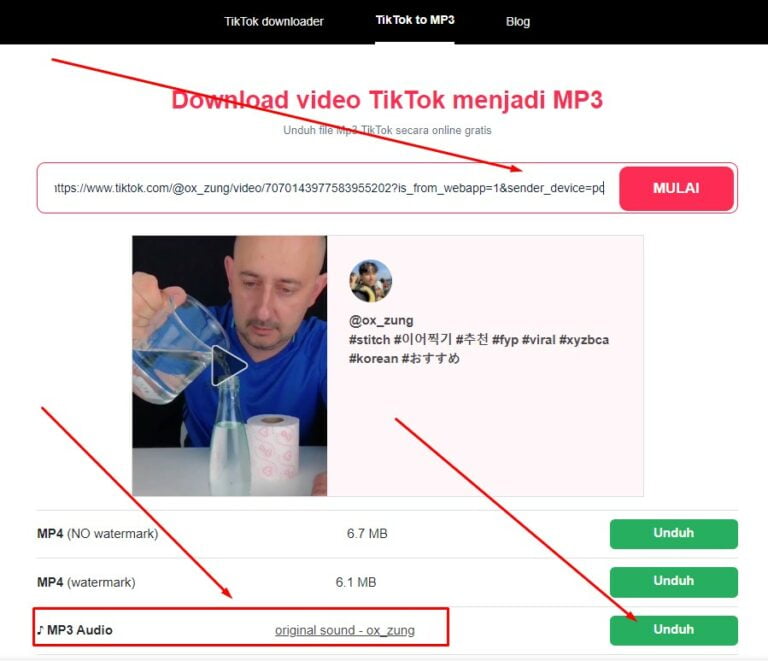 download video tiktok menjadi MP3