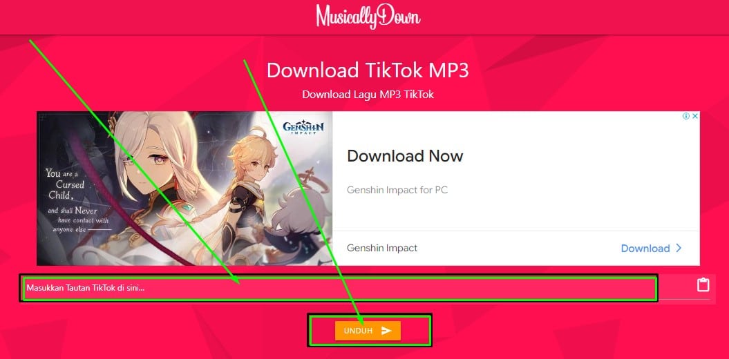 download video tiktok menjadi MP3