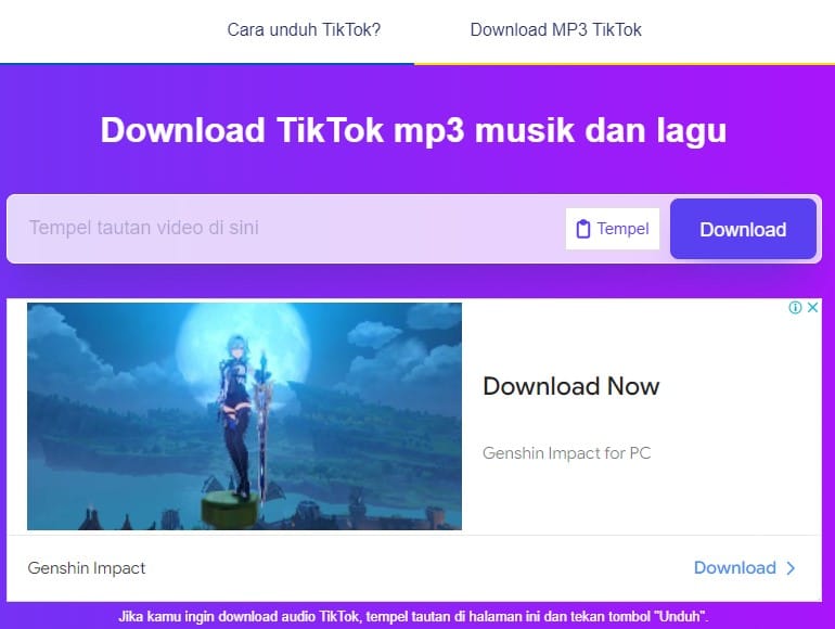 download video tiktok menjadi MP3