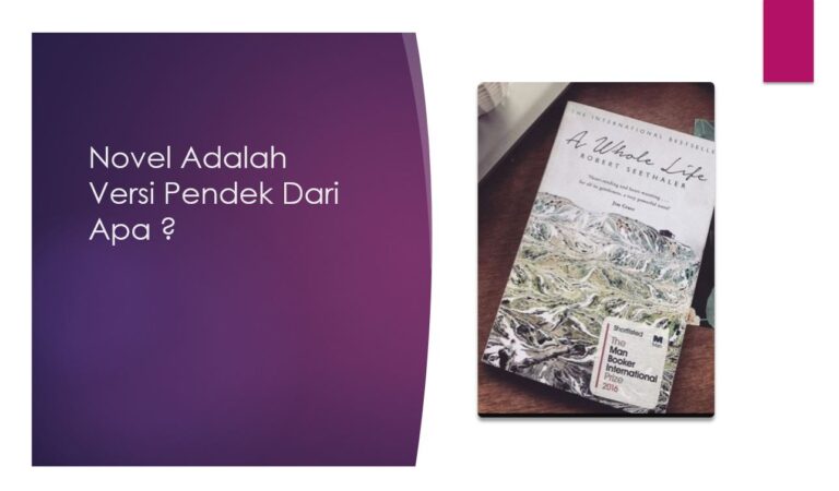 Novel Adalah Versi Pendek Dari Apa