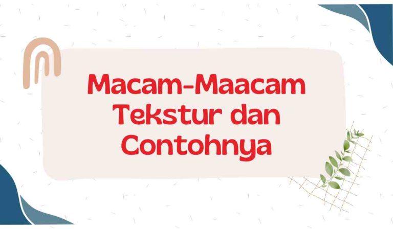 Macam-Macam Tekstur dan Contohnya